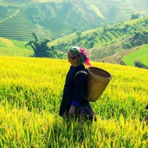 PHOTO MAP VIETNAM PHOTO MAP VIETNAM