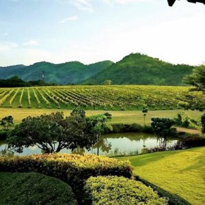 khao yai winery khao yai winery