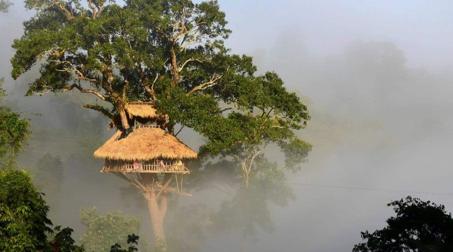 Gibbon Experience treehouses Gibbon Experience treehouses